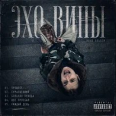 ЭХО вины — причина твоих сомнений